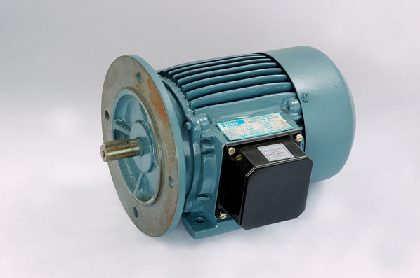 FOOT CUM FLANGE MOUNTED ELECTRIC MOTORS Super Sales Centre